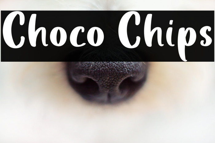 Choco Chips Example 2