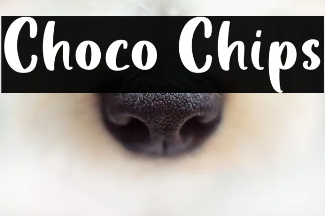 Choco Chips Example 2