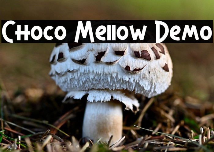 Choco Mellow Demo Example 1