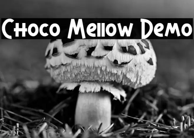 Choco Mellow Demo Font examples