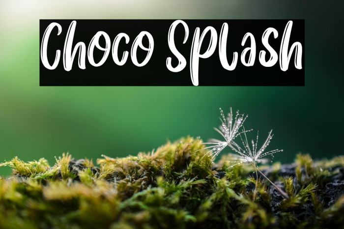 Choco Splash Example 1