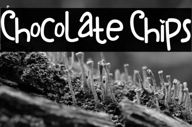 ChocoLate Chips Font examples