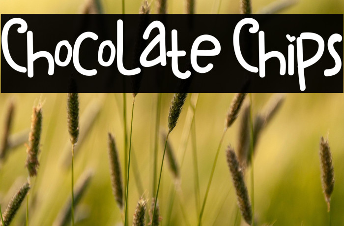 ChocoLate Chips Example 2