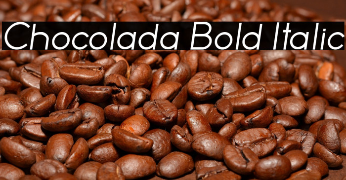Chocolada Bold Italic Example 3
