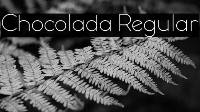 Chocolada Regular Font examples