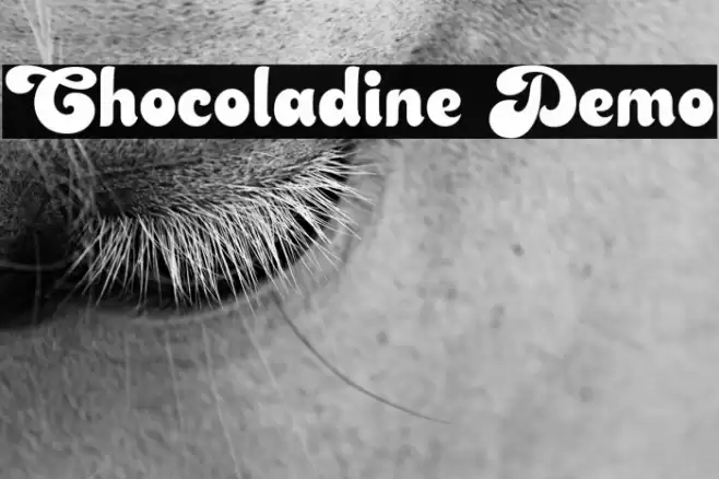 Chocoladine Demo Font examples