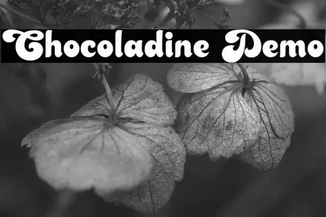 Chocoladine Demo Font examples