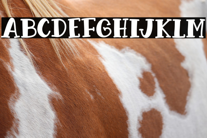 Chocolate Banana Font examples
