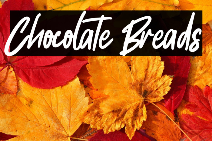 Chocolate Breads Example 2