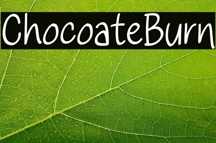 Chocolate Burn Example 1