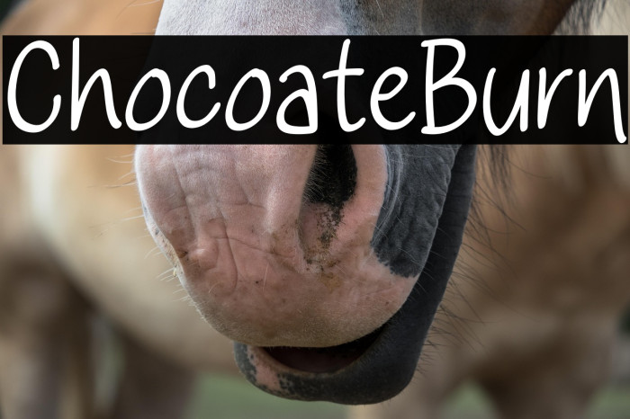 Chocolate Burn Example 2
