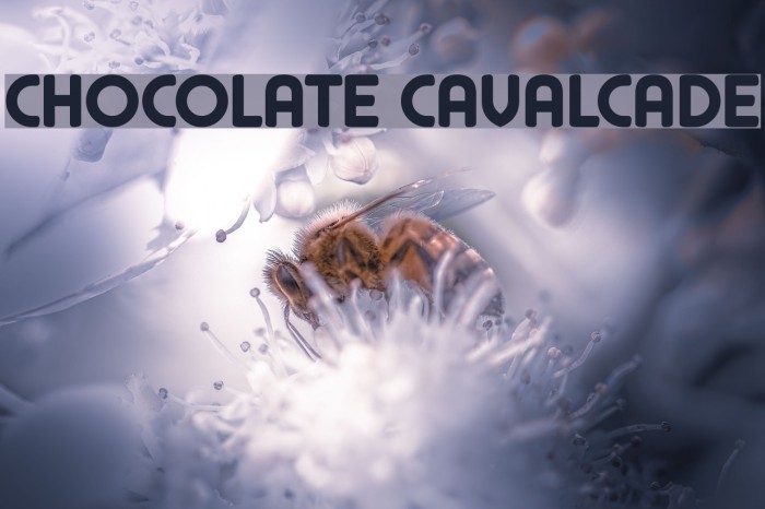 Chocolate Cavalcade Polices examples