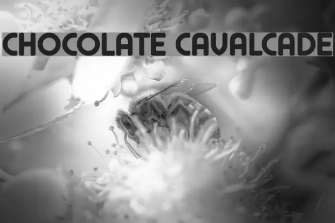 Chocolate Cavalcade Polices examples