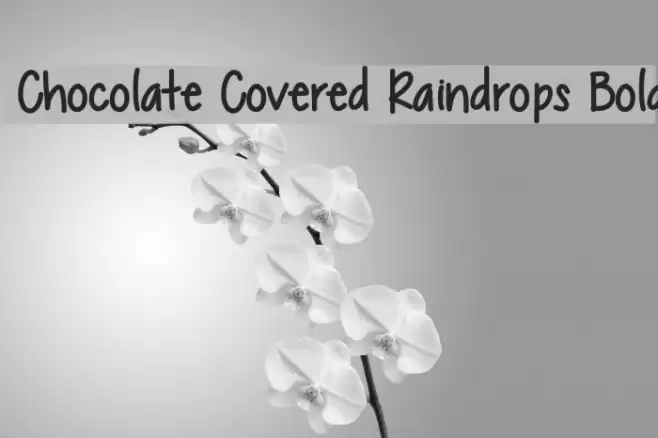 Chocolate Covered Raindrops Bold Font examples