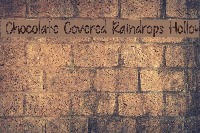 Chocolate Covered Raindrops Hollow Example 1