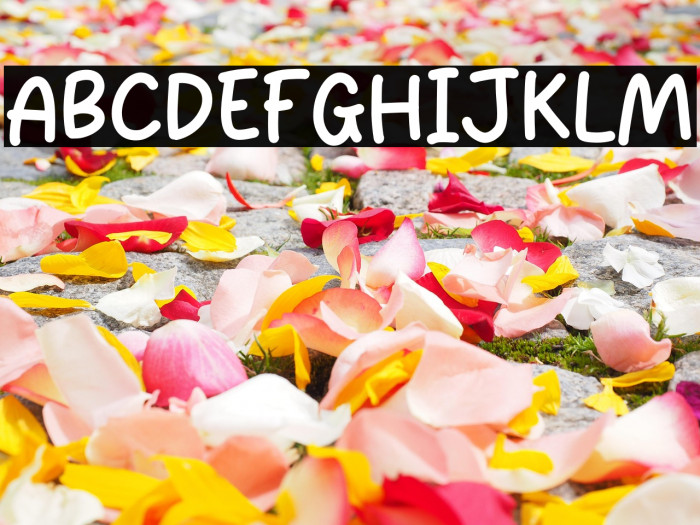 Chocolate Donuts Example 2