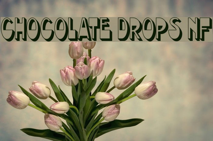 Chocolate Drops NF Font examples