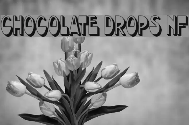 Chocolate Drops NF フォント examples