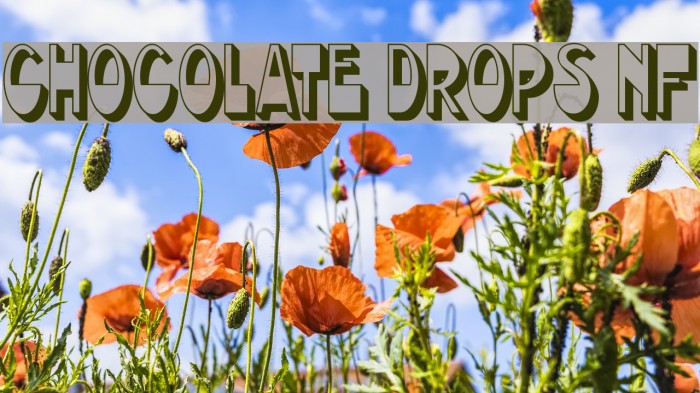 Chocolate Drops NF Font examples