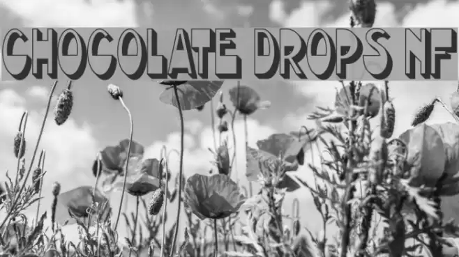 Chocolate Drops NF フォント examples