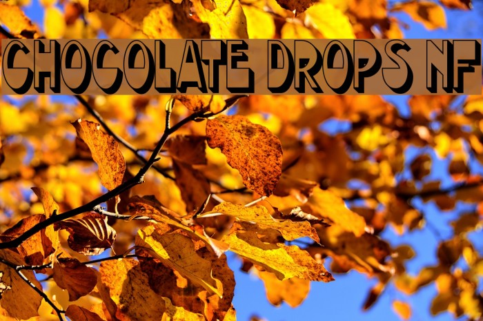 Chocolate Drops NF Font examples