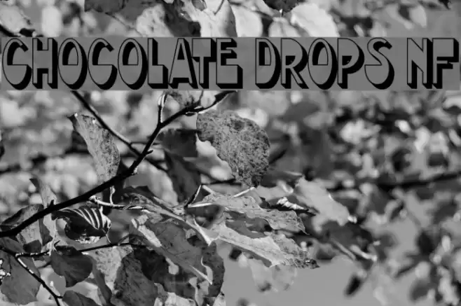 Chocolate Drops NF フォント examples