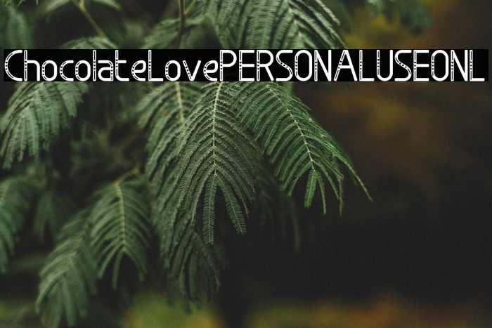 Chocolate Love PERSONAL USE ONL Example 3