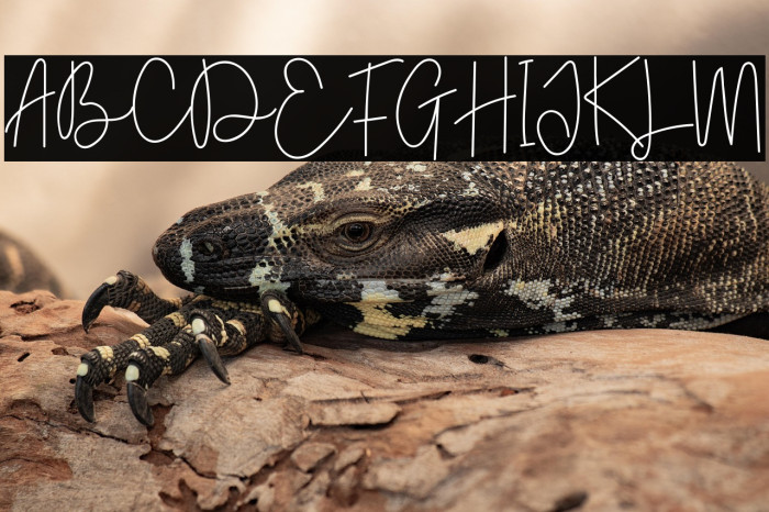 Chocolate Spaghetti Example 3