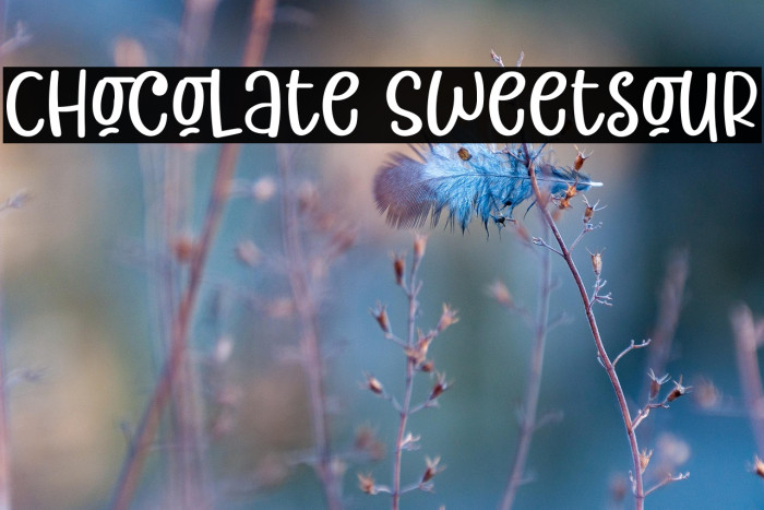 Chocolate Sweetsour Example 3