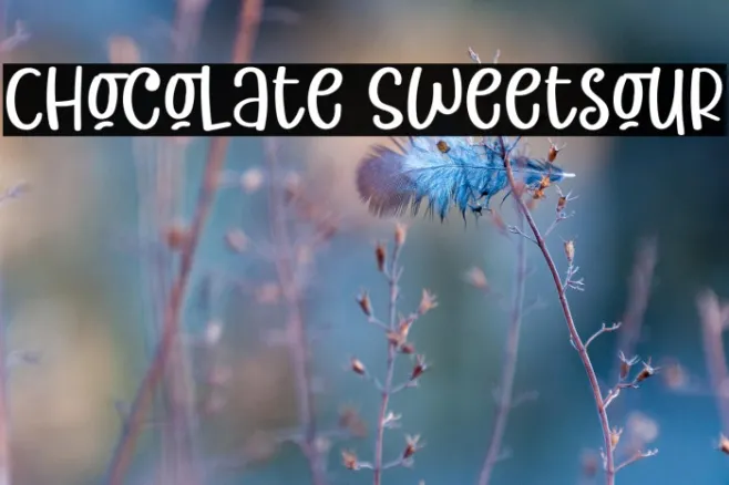 Chocolate Sweetsour Example 3