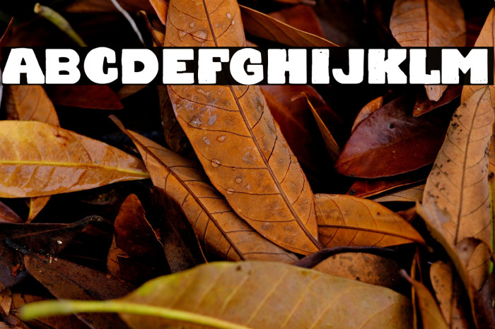 Chocolate Team Example 2