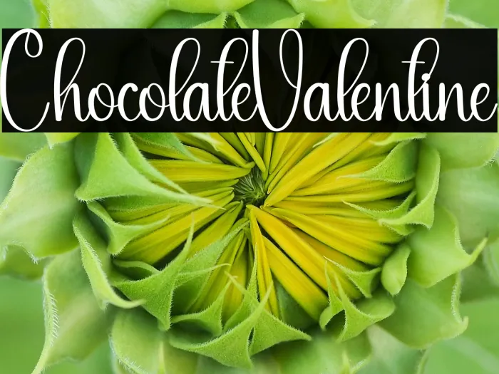 Chocolate Valentine Example 2