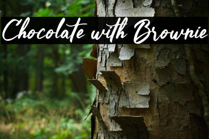 Chocolate with Brownie Fonte examples