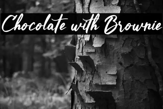 Chocolate with Brownie خط examples