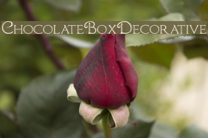 ChocolateBoxDecorative Font examples
