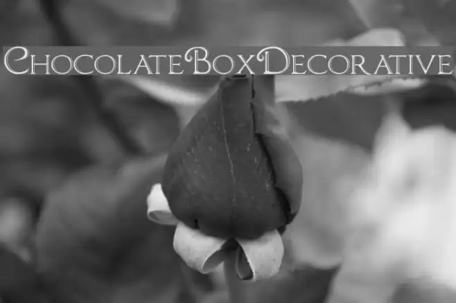 ChocolateBoxDecorative Polices examples