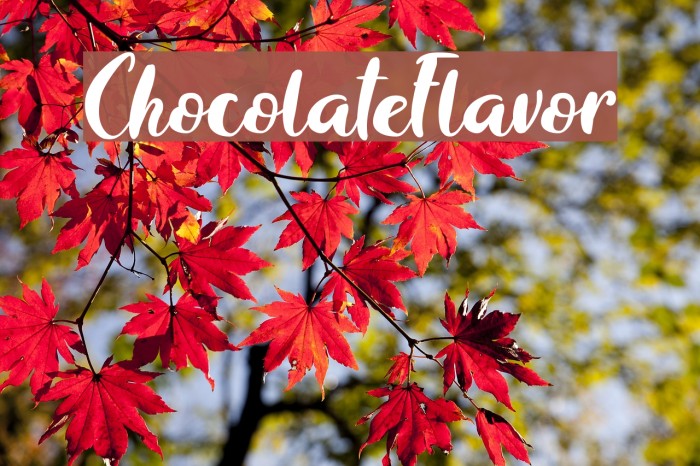 ChocolateFlavor Font examples