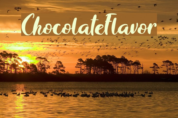 ChocolateFlavor Font examples