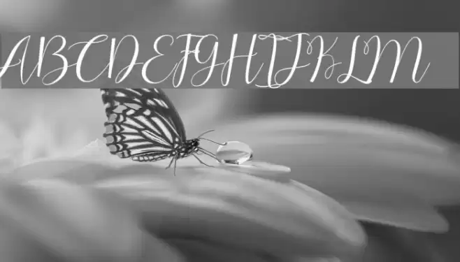 ChocolateMilkyFreePersonal Font examples