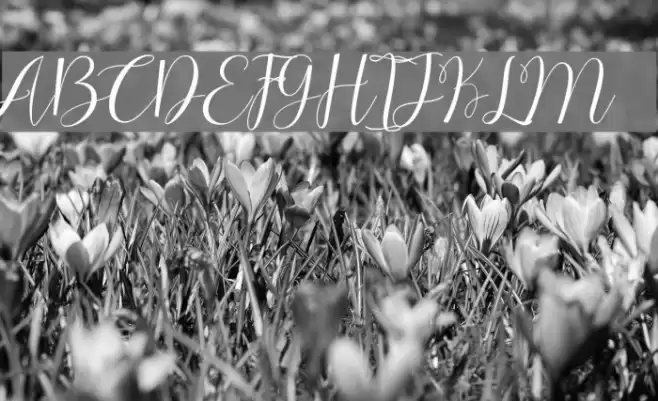 ChocolateMilkyFreePersonal Font examples