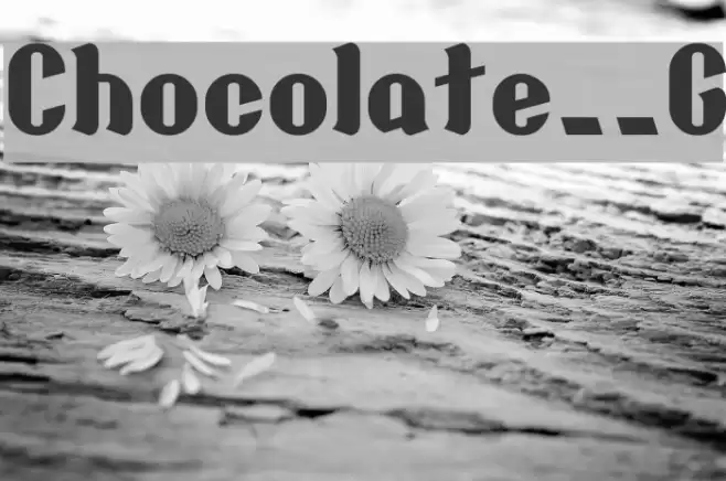 Chocolate__G Font examples