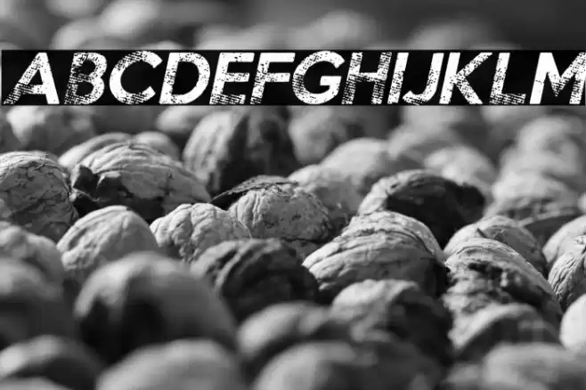 Chocolates Italic Regular Font examples