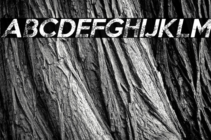 Chocolates Italic Regular Example 3