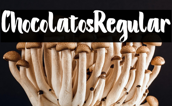 ChocolatosRegular Example 2