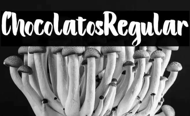 ChocolatosRegular Font examples