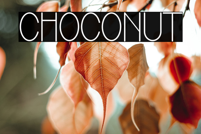 Choconut Example 1