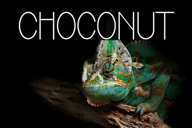 Choconut Example 2