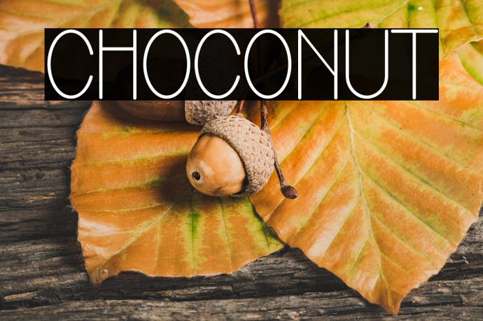 Choconut Example 3