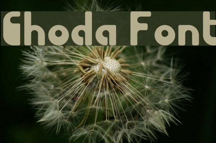 Choda Font examples