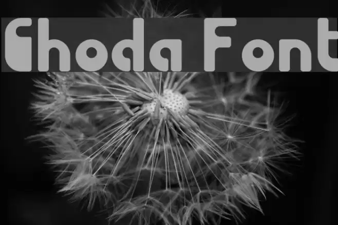 Choda フォント examples